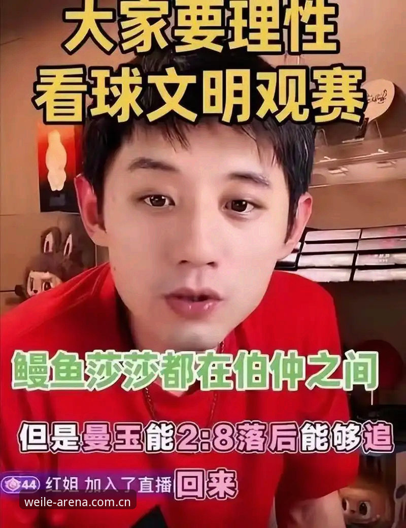 世界杯观赛遇冷深度评测：签证困局与微乐平台上的另类观赛体验